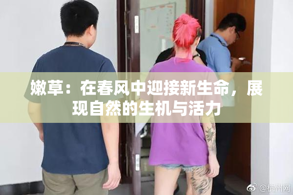 嫩草：在春风中迎接新生命，展现自然的生机与活力