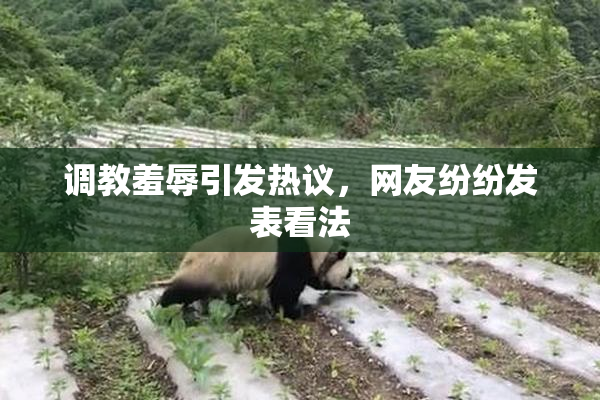 调教羞辱引发热议，网友纷纷发表看法