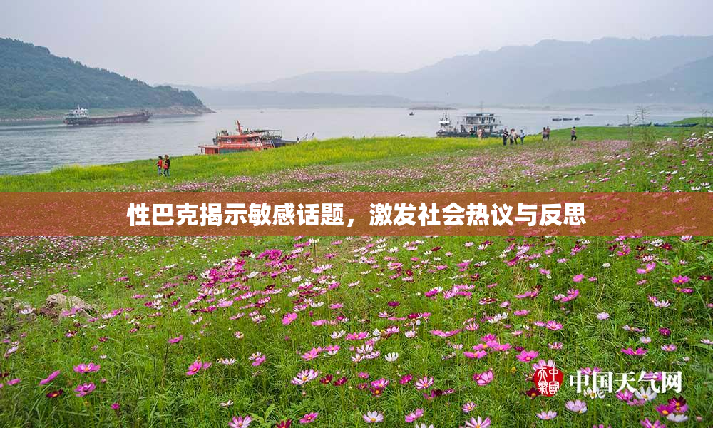 性巴克揭示敏感话题，激发社会热议与反思
