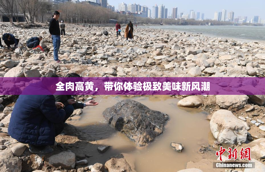 全肉高黄，带你体验极致美味新风潮