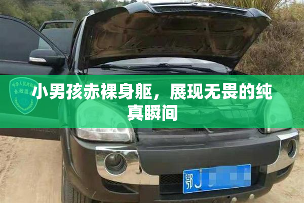 小男孩赤裸身躯，展现无畏的纯真瞬间
