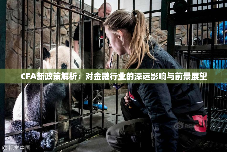 CFA新政策解析：对金融行业的深远影响与前景展望