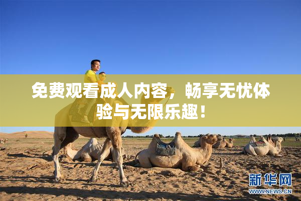 免费观看成人内容，畅享无忧体验与无限乐趣！
