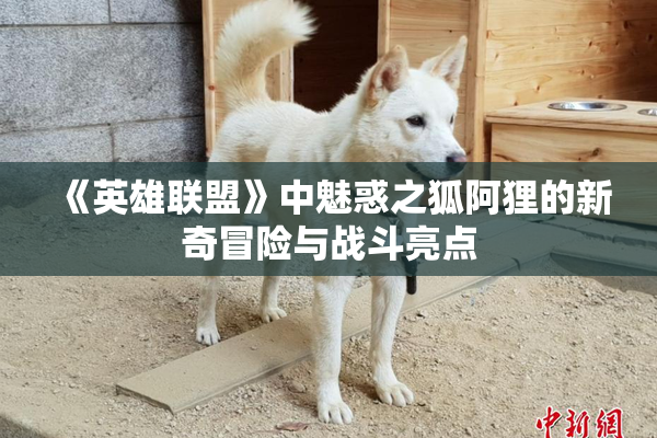 《英雄联盟》中魅惑之狐阿狸的新奇冒险与战斗亮点