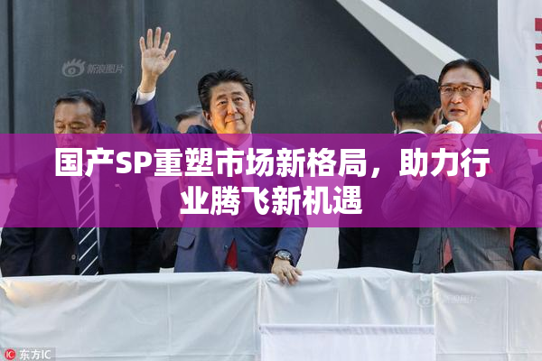 国产SP重塑市场新格局，助力行业腾飞新机遇
