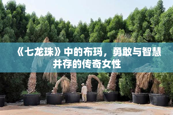 《七龙珠》中的布玛，勇敢与智慧并存的传奇女性