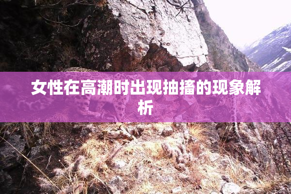 女性在高潮时出现抽搐的现象解析