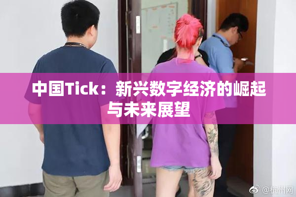 中国Tick：新兴数字经济的崛起与未来展望
