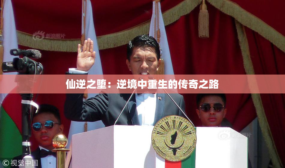 仙逆之堕：逆境中重生的传奇之路