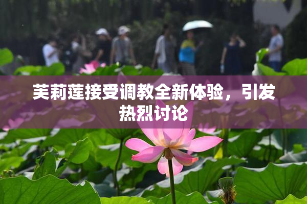 芙莉莲接受调教全新体验，引发热烈讨论