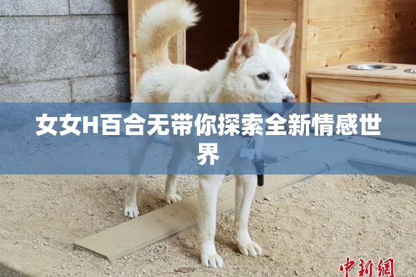 女女H百合无带你探索全新情感世界