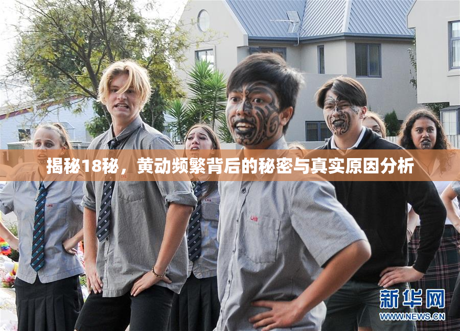 揭秘18秘，黄动频繁背后的秘密与真实原因分析