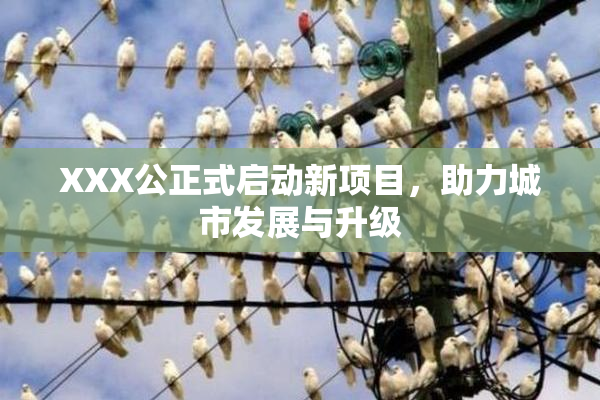 XXX公正式启动新项目，助力城市发展与升级
