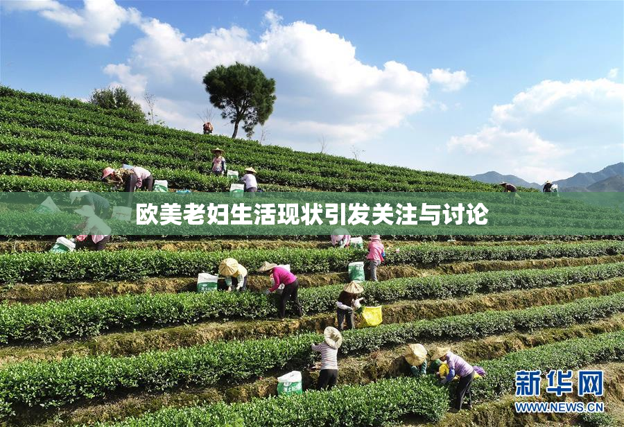 欧美老妇生活现状引发关注与讨论