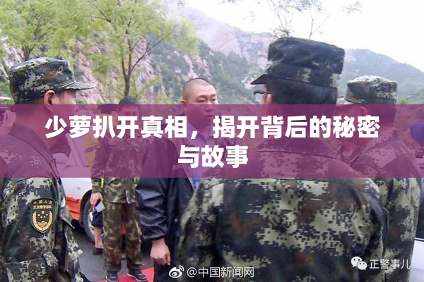 少萝扒开真相，揭开背后的秘密与故事