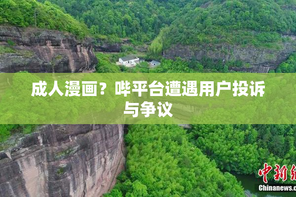 成人漫画？哔平台遭遇用户投诉与争议