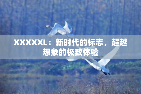 XXXXXL：新时代的标志，超越想象的极致体验