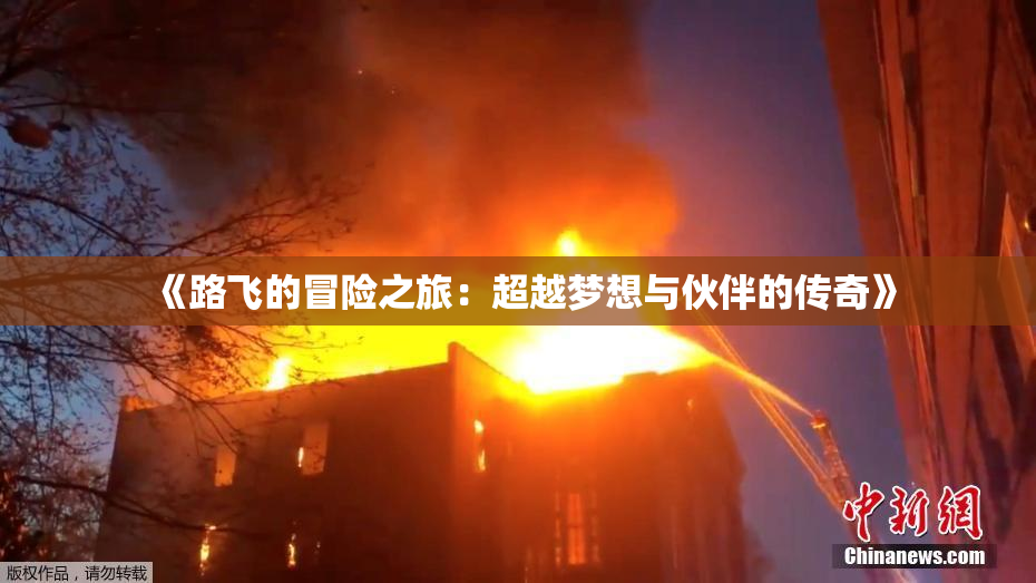 《路飞的冒险之旅：超越梦想与伙伴的传奇》