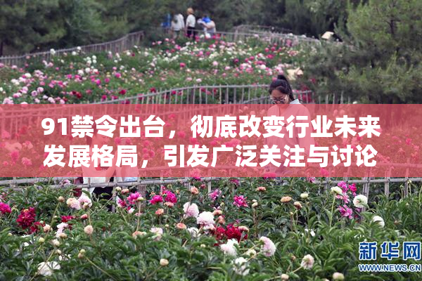 91禁令出台，彻底改变行业未来发展格局，引发广泛关注与讨论