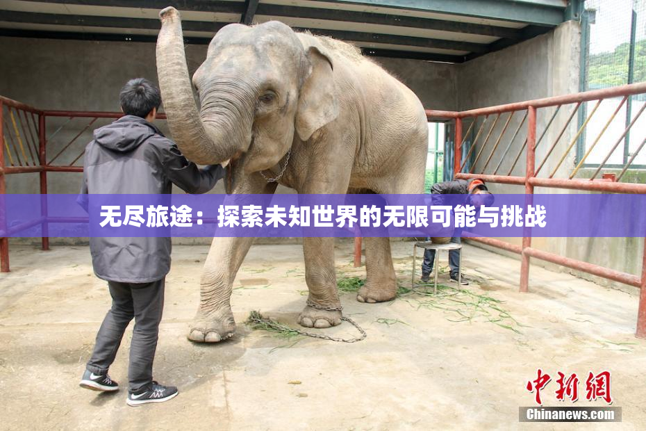 无尽旅途：探索未知世界的无限可能与挑战