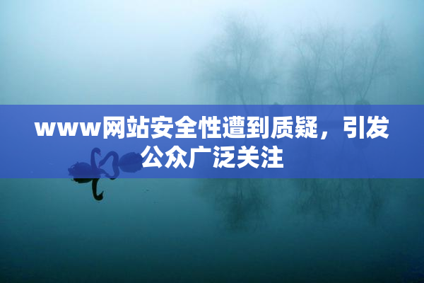 www网站安全性遭到质疑，引发公众广泛关注