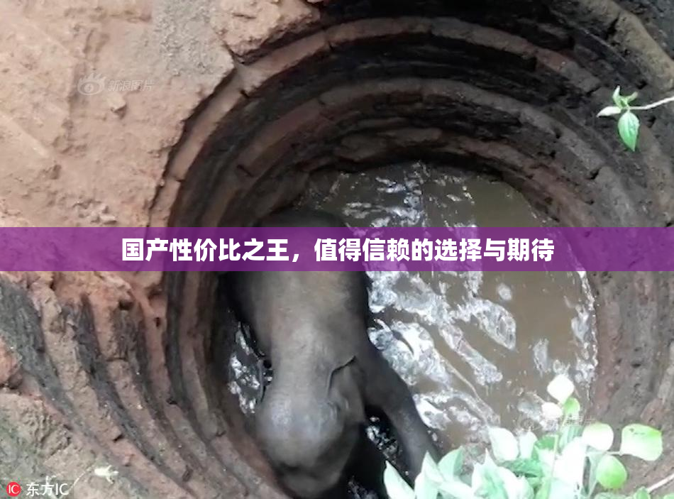 国产性价比之王，值得信赖的选择与期待