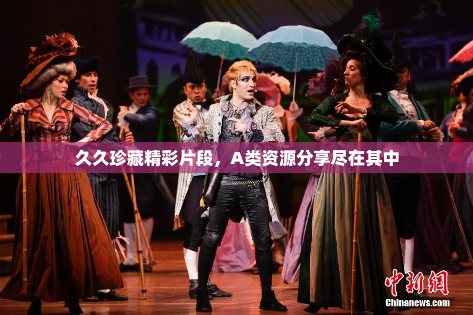 久久珍藏精彩片段，A类资源分享尽在其中