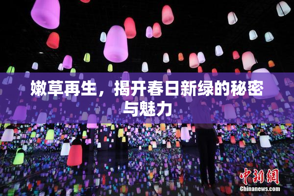 嫩草再生，揭开春日新绿的秘密与魅力
