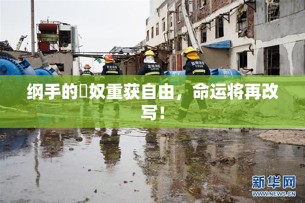 纲手的婬奴重获自由，命运将再改写！
