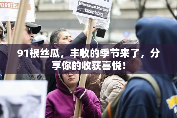 91根丝瓜，丰收的季节来了，分享你的收获喜悦！