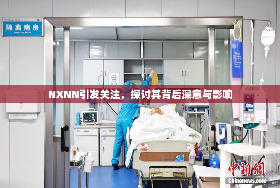 NXNN引发关注，探讨其背后深意与影响