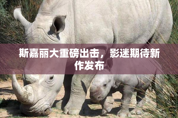 斯嘉丽大重磅出击，影迷期待新作发布