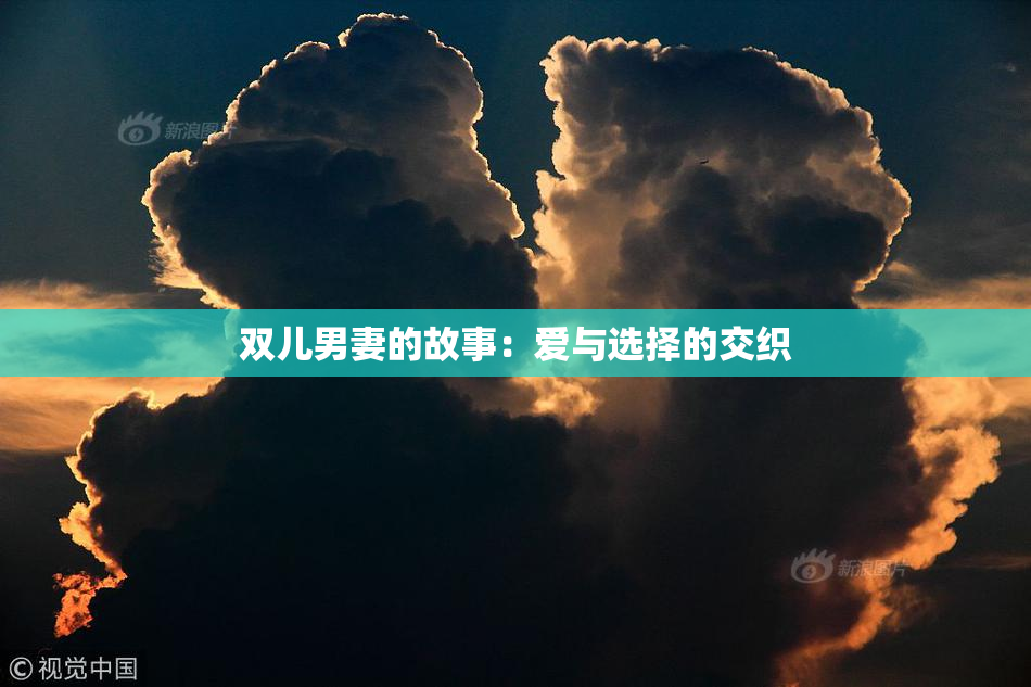 双儿男妻的故事：爱与选择的交织