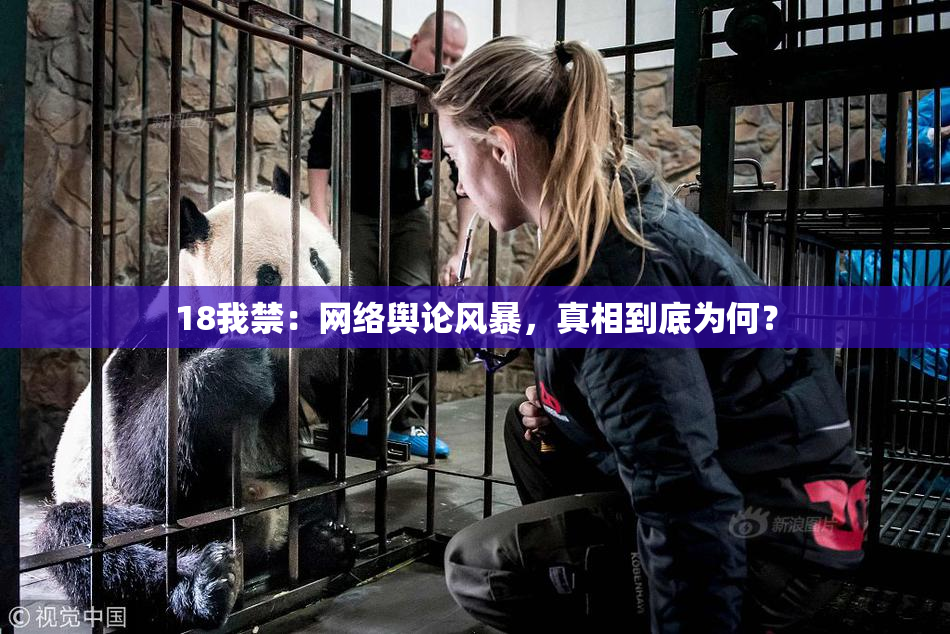 18我禁：网络舆论风暴，真相到底为何？