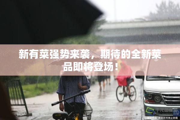 新有菜强势来袭，期待的全新菜品即将登场！