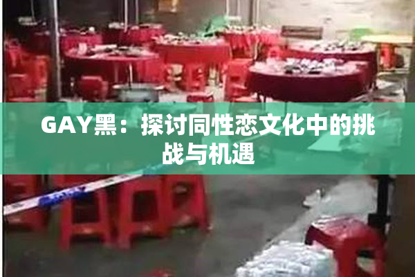 GAY黑：探讨同性恋文化中的挑战与机遇