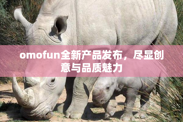 omofun全新产品发布，尽显创意与品质魅力