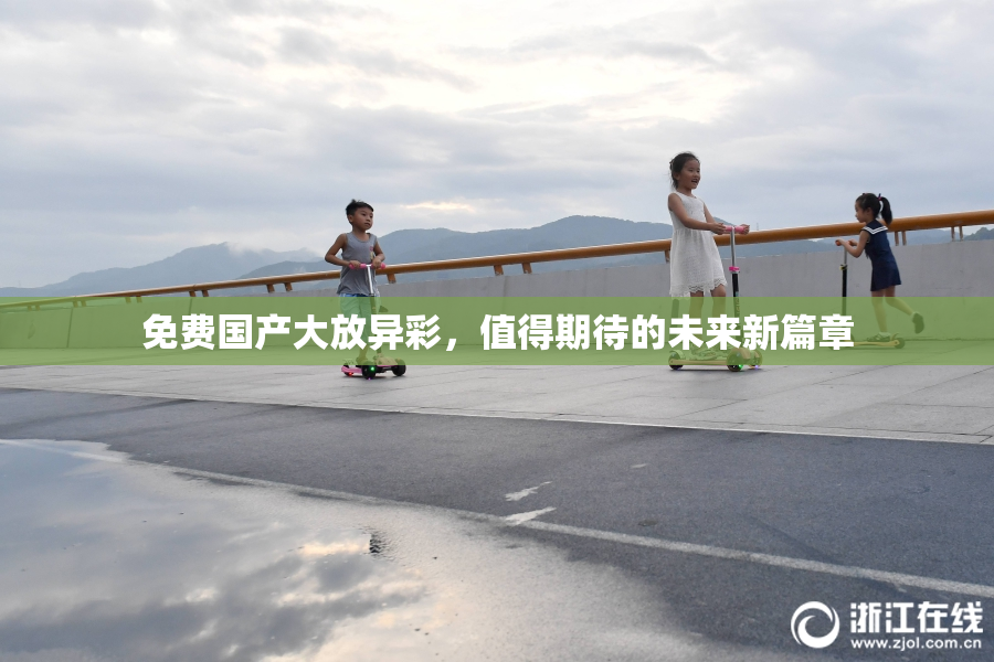 免费国产大放异彩，值得期待的未来新篇章