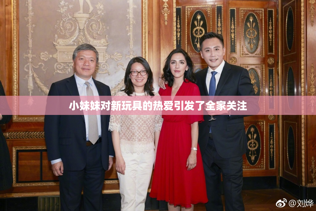 小妹妹对新玩具的热爱引发了全家关注