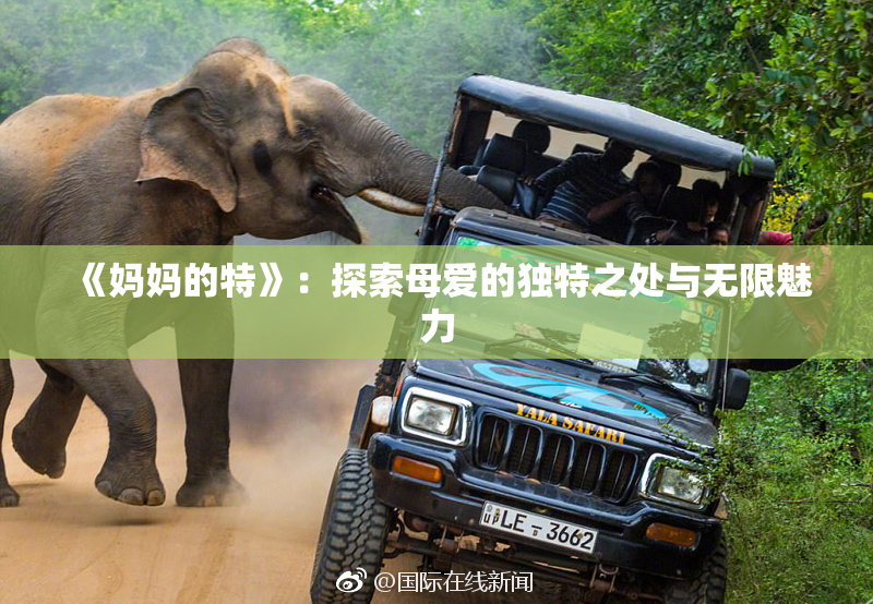 《妈妈的特》：探索母爱的独特之处与无限魅力