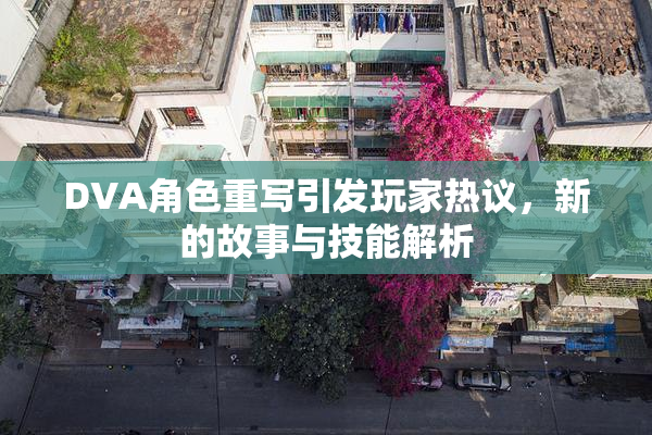 DVA角色重写引发玩家热议，新的故事与技能解析