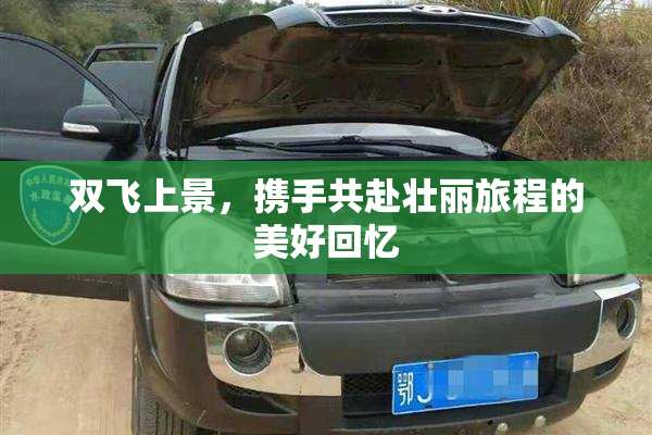 双飞上景，携手共赴壮丽旅程的美好回忆