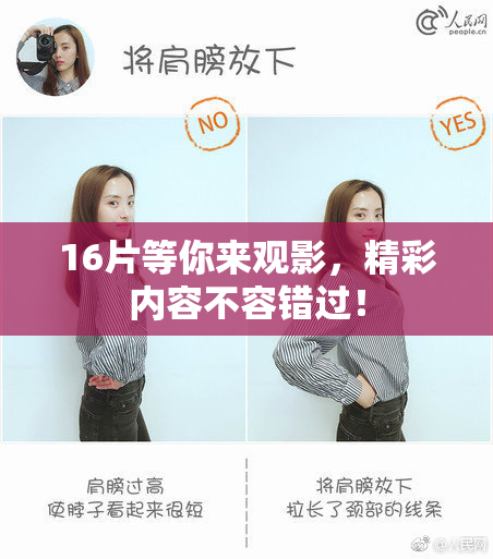 16片等你来观影，精彩内容不容错过！