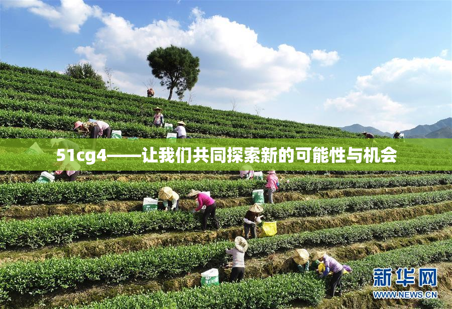 51cg4——让我们共同探索新的可能性与机会