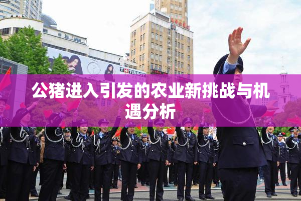 公猪进入引发的农业新挑战与机遇分析
