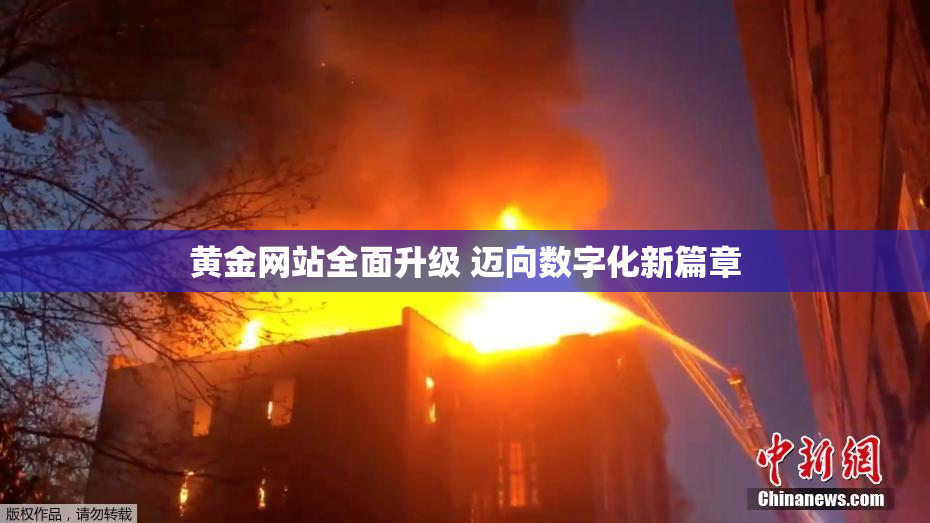 黄金网站全面升级 迈向数字化新篇章