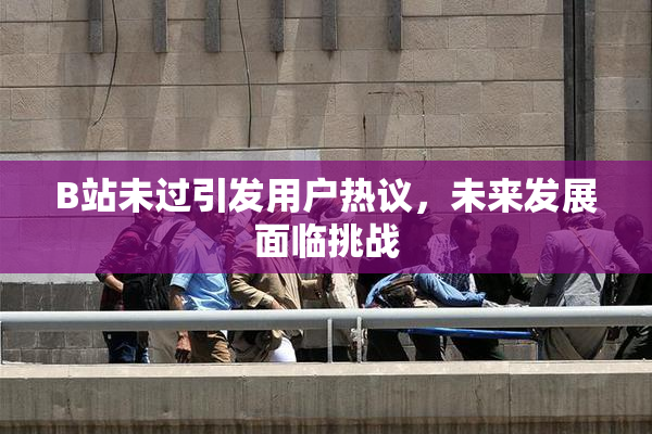 B站未过引发用户热议，未来发展面临挑战