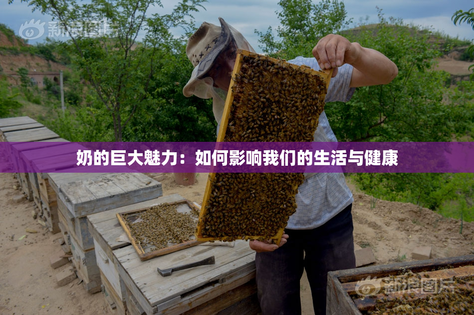 奶的巨大魅力：如何影响我们的生活与健康