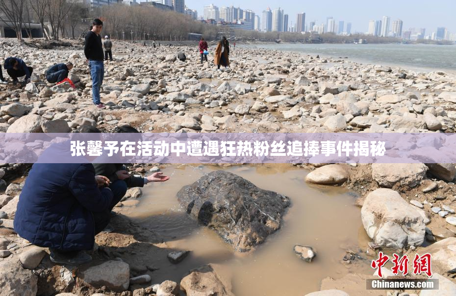 张馨予在活动中遭遇狂热粉丝追捧事件揭秘