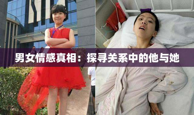 男女情感真相：探寻关系中的他与她